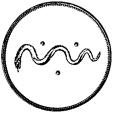 monogram-mvg-web-450px